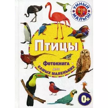 Птицы. Фотокнига для самых маленьких