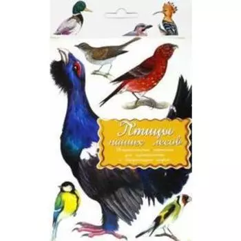 Птицы наших лесов