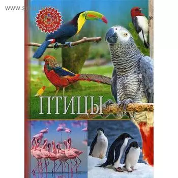 Птицы. Популярная детская энциклопедия