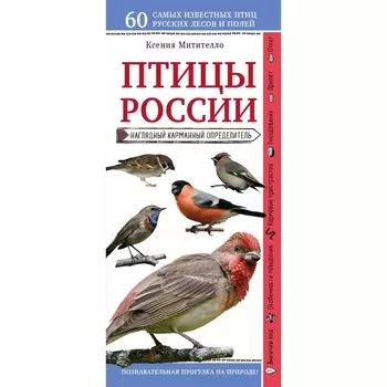 Птицы России. Наглядный карманный определитель. Митителло К.