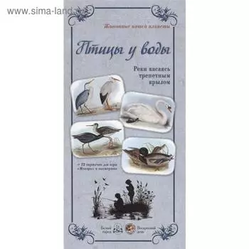 Птицы у воды. Реки касаясь трепетным крылом (репродукция)