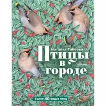Птицы в городе. Габеева Н.М.