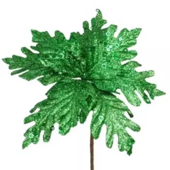 Пуансетия «Карнавал» 24 х 24 см, изумрудный