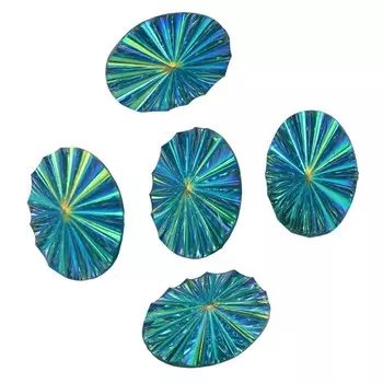 Пуговицы 18x25мм, 5шт