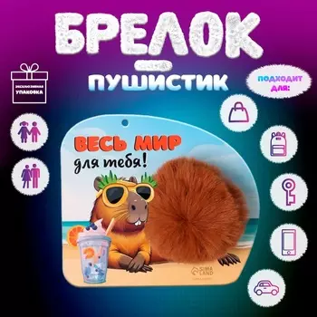 Брелок для ключей на кольце «Пушистик. Капибара. Весь мир для тебя!», на сумку, рюкзак, d=8 см, 1513 см