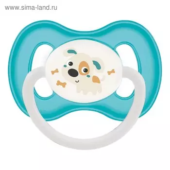 Пустышка силиконовая Canpol babies Bunny&Company, симметричная, от 6-18 месяцев, цвет бирюзовый