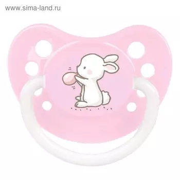Пустышка силиконовая Canpol babies Little Cuties, ортодонтическая, от 0-6 месяцев, цвет МИКС