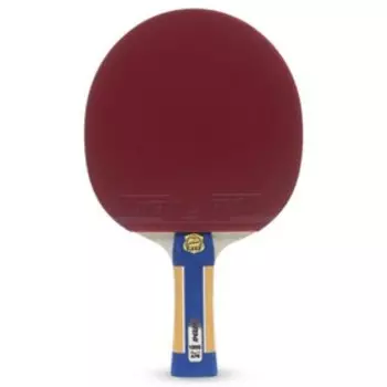 Ракетка для настольного тенниса Atemi PRO 1000 CV