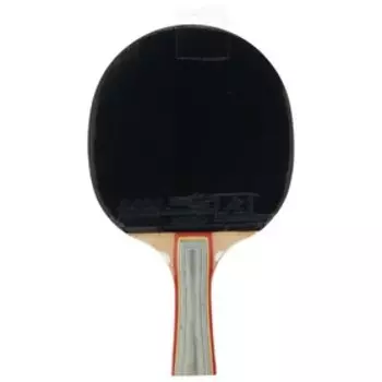 Ракетка для настольного тенниса Double Fish (108)