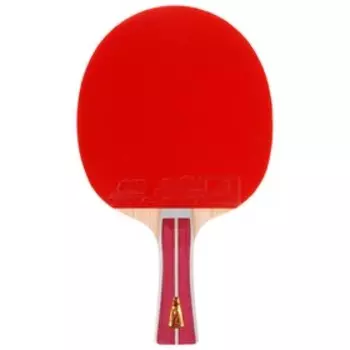 Ракетка для настольного тенниса Double Fish (2A+C серия)
