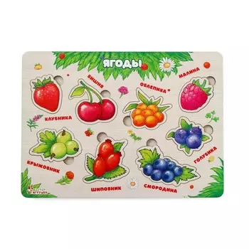 Рамка - вкладыш «Ягоды», 8 деталей