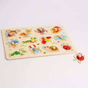 Рамка-вкладыш «Насекомые»