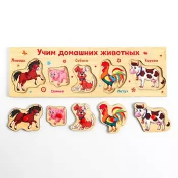 Рамка - вкладыш «Учим домашних животных», 5 элементов