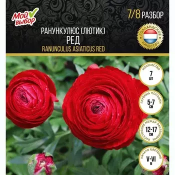 Ранункулюс "Мой выбор", "Лютик Ред", р-р 7/8, 7 шт.