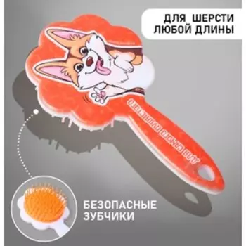 Расчёска для животных «Корги», цвета МИКС