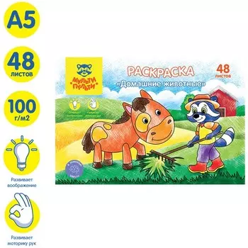Раскраска, А5 «Домашние животные», 48 л