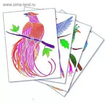 Раскраска акварельная "Райские птицы"