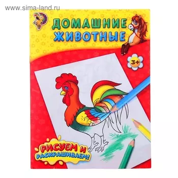 Раскраска детская «Домашние животные», 12 стр.