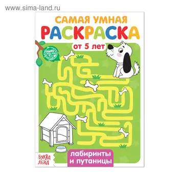 Раскраска детская «Лабиринты и путаницы», 12 стр.