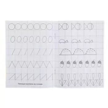 Раскраска-пропись для детского сада «Первые прописи в клетку»