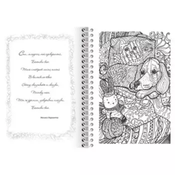 Раскраска - релакс на гребне «Уютный мир», 32 л