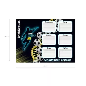 Расписание уроков А3, ErichKrause "Sport DNA", мелованный картон