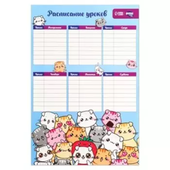 Расписание уроков «Мур-р-рчательные котики» А3