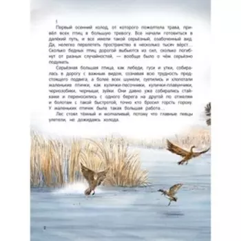Рассказ «Серая Шейка», 2-е издание., Мамин-Сибиряк Д.Н.