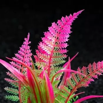 Растение искусственное аквариумное, 10 см, фиолетовое