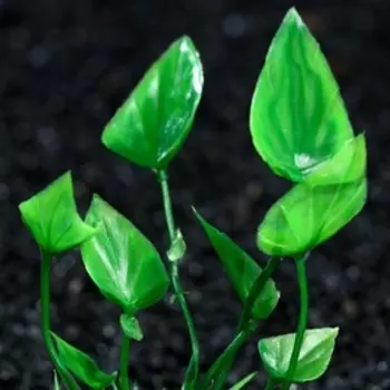 Растение искусственное аквариумное, 10 см, зелёное, 1 шт.