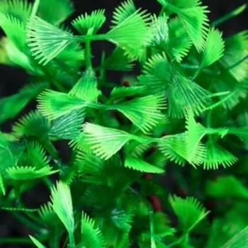 Растение искусственное аквариумное, 15 см, зелёное