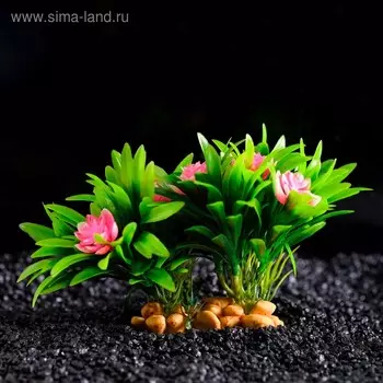 Растение искусственное аквариумное, 20 х 12 х 11 см,