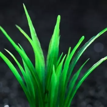 Растение искусственное аквариумное, 5 см, зелёное