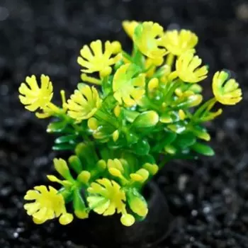 Растение искусственное аквариумное, 5 см, зелёное