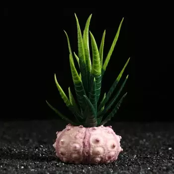 Растение искусственное аквариумное, 6 х 6 х 12 см