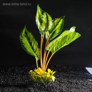 Растение искусственное аквариумное аквариумное большое, 26 х 10 х 31 см