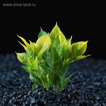 Растение искусственное аквариумное малое, 7 см