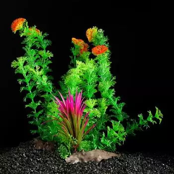 Растение искусственное аквариумное на платформе в виде коряги, 30 см