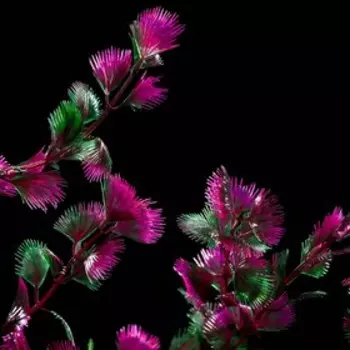 Растение искусственное аквариумное на платформе в виде коряги, 40 см, красно-зелёное