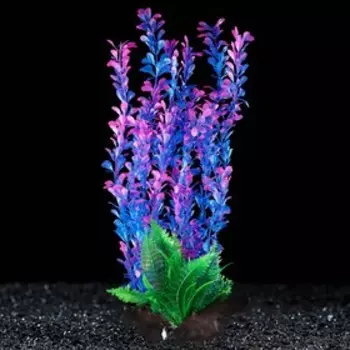 Растение искусственное аквариумное на платформе в виде коряги, 40 см, сине-розовое, 1 шт.