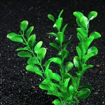 Растение искусственное аквариумное Бакопа каролинская, 20 см