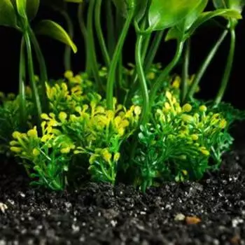 Растение искусственное аквариумное, 15 см, зелёное