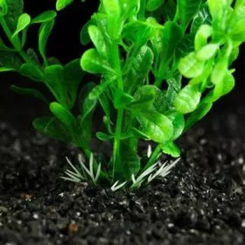 Растение искусственное аквариумное, 3 х 13 см, зелёное