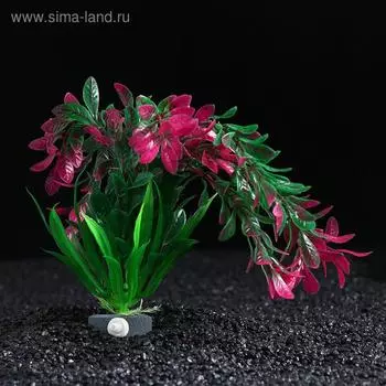 Растение искусственное