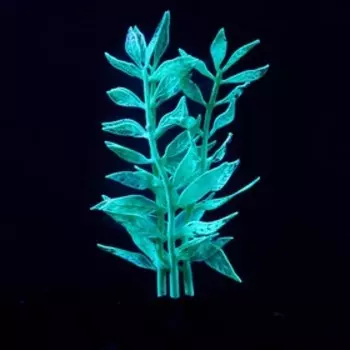 Растение силиконовое аквариумное, светящееся в темноте, 8 х 15 см, зелёное