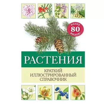 Растения. Краткий иллюстрированный справочник. Хольгер Х.