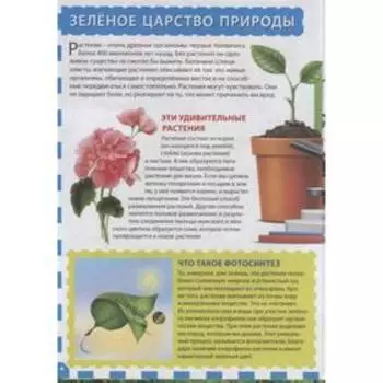 Растения России. Энциклопедия для детей