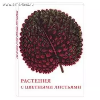 Растения с цветными листьями