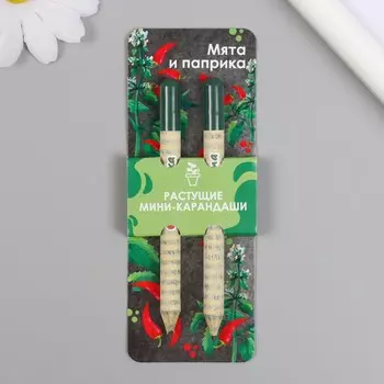 Набор для выращивания, карандаши подарочные «Мята и Паприка», mini, простые чернографитные, 2 шт.