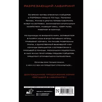 Разрезающий лабиринт. Дэшнер Д.